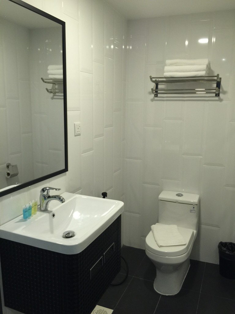 Deluxe Family Room Toilet