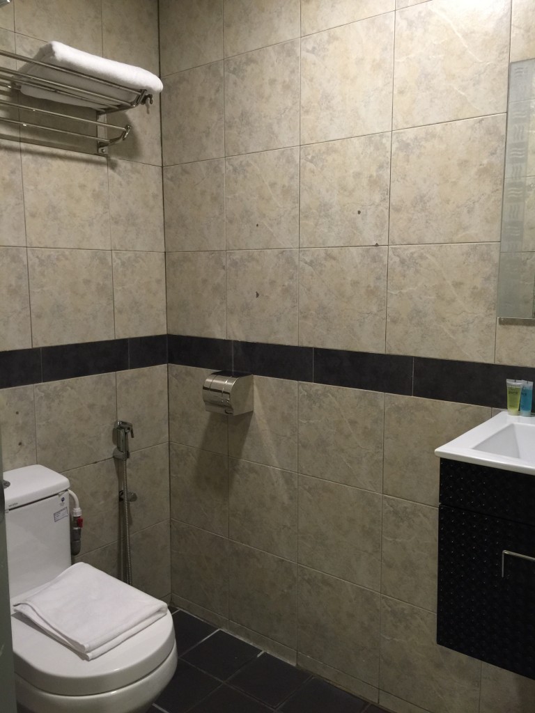 Family Double Single Toilet